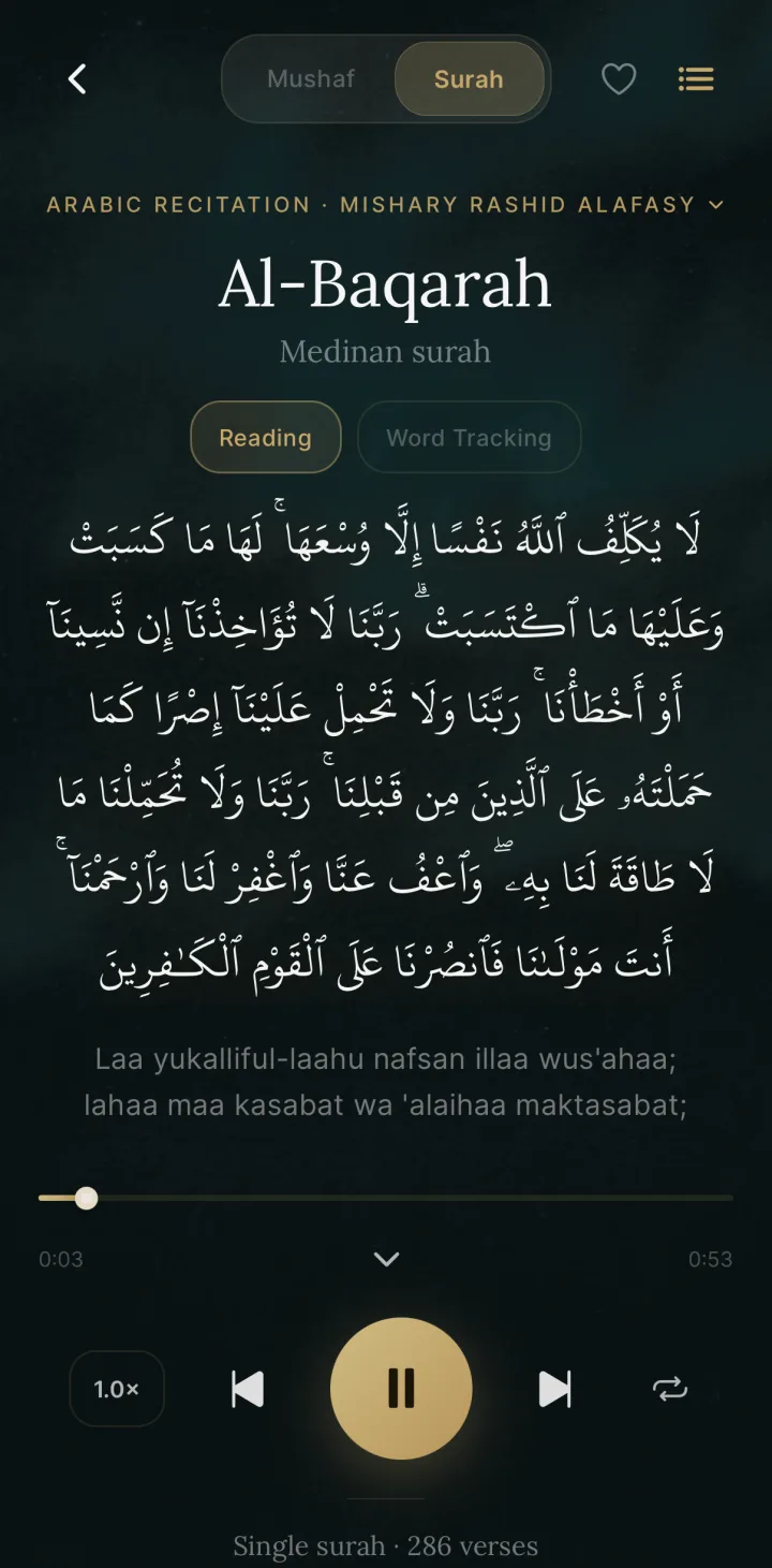 HUSHU — Recitation